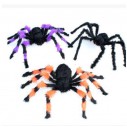 SPIDERS