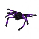 SPIDERS