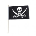 PIRATE ITEMS