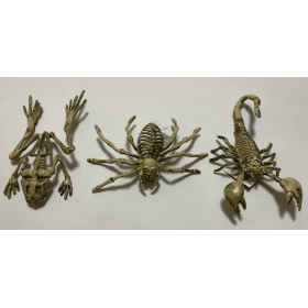 HALLOWEEN ITEMS